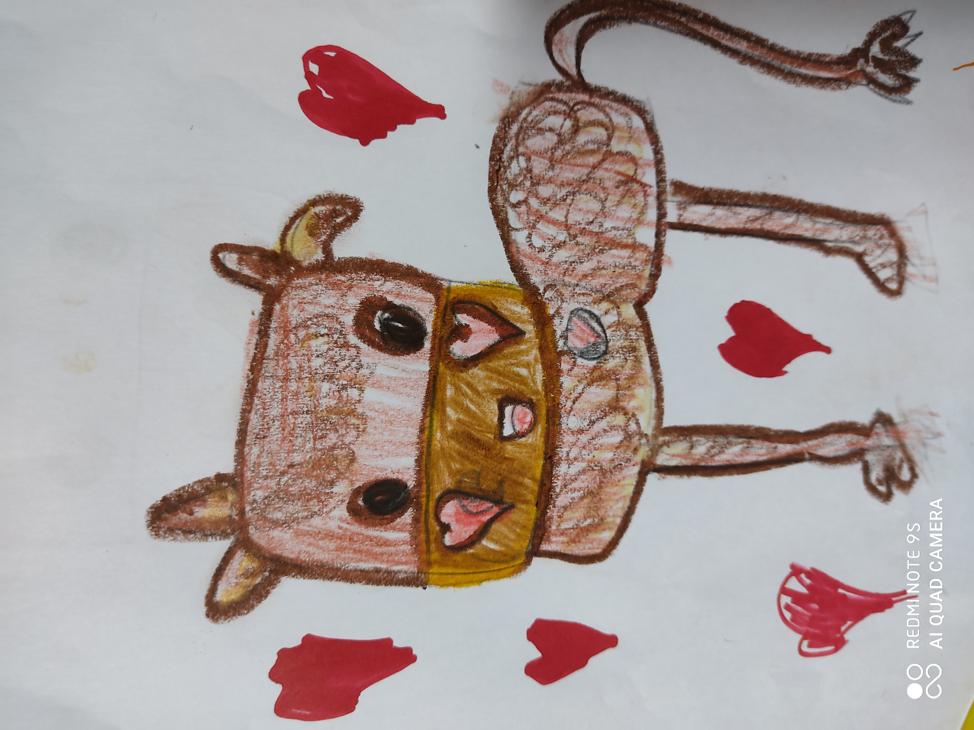 한우는 사랑입니다