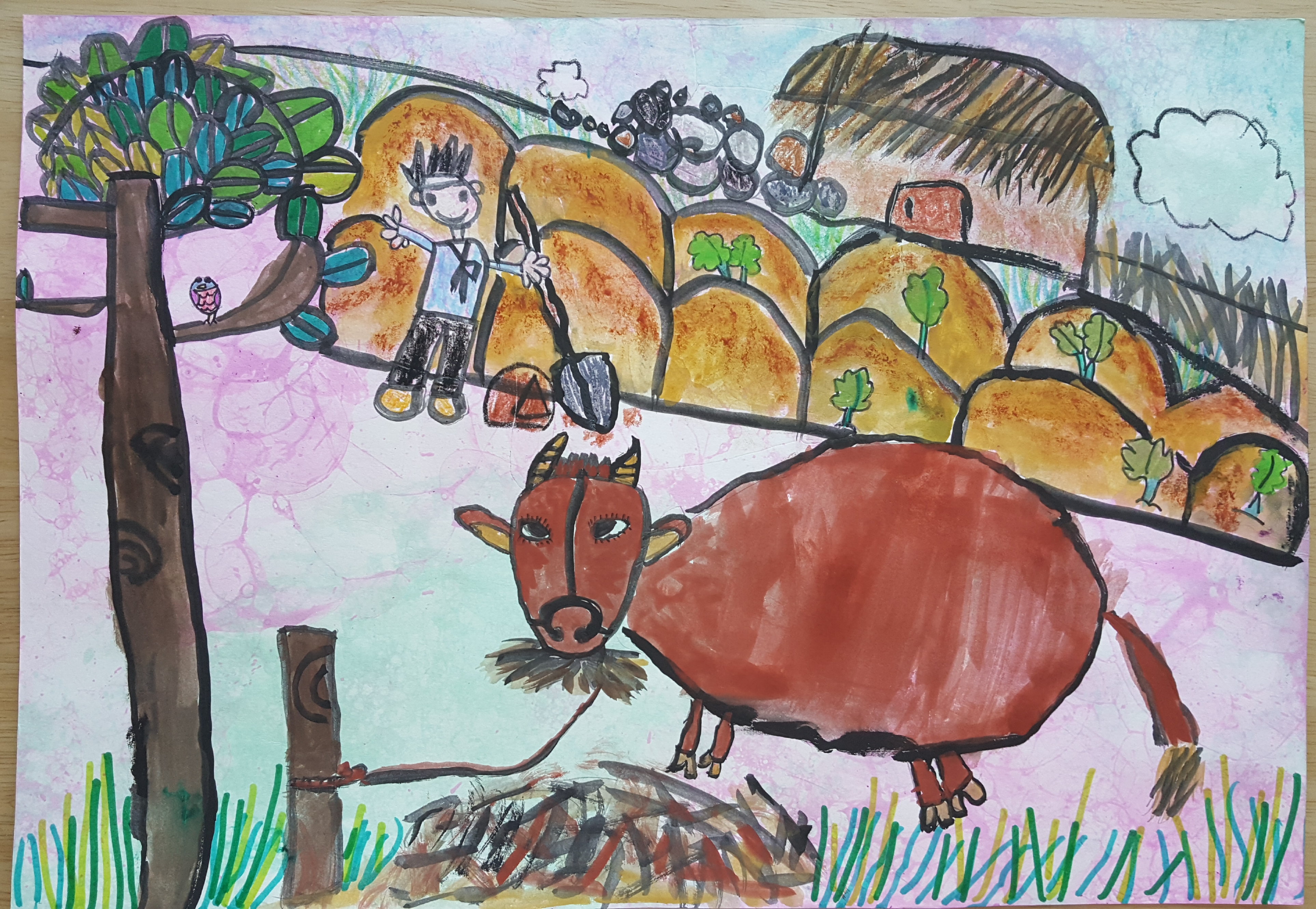 6세 한우그리기대회 참가그림