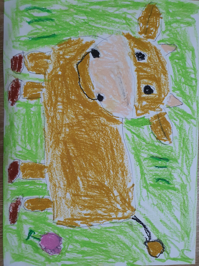 한우 내친구 모모