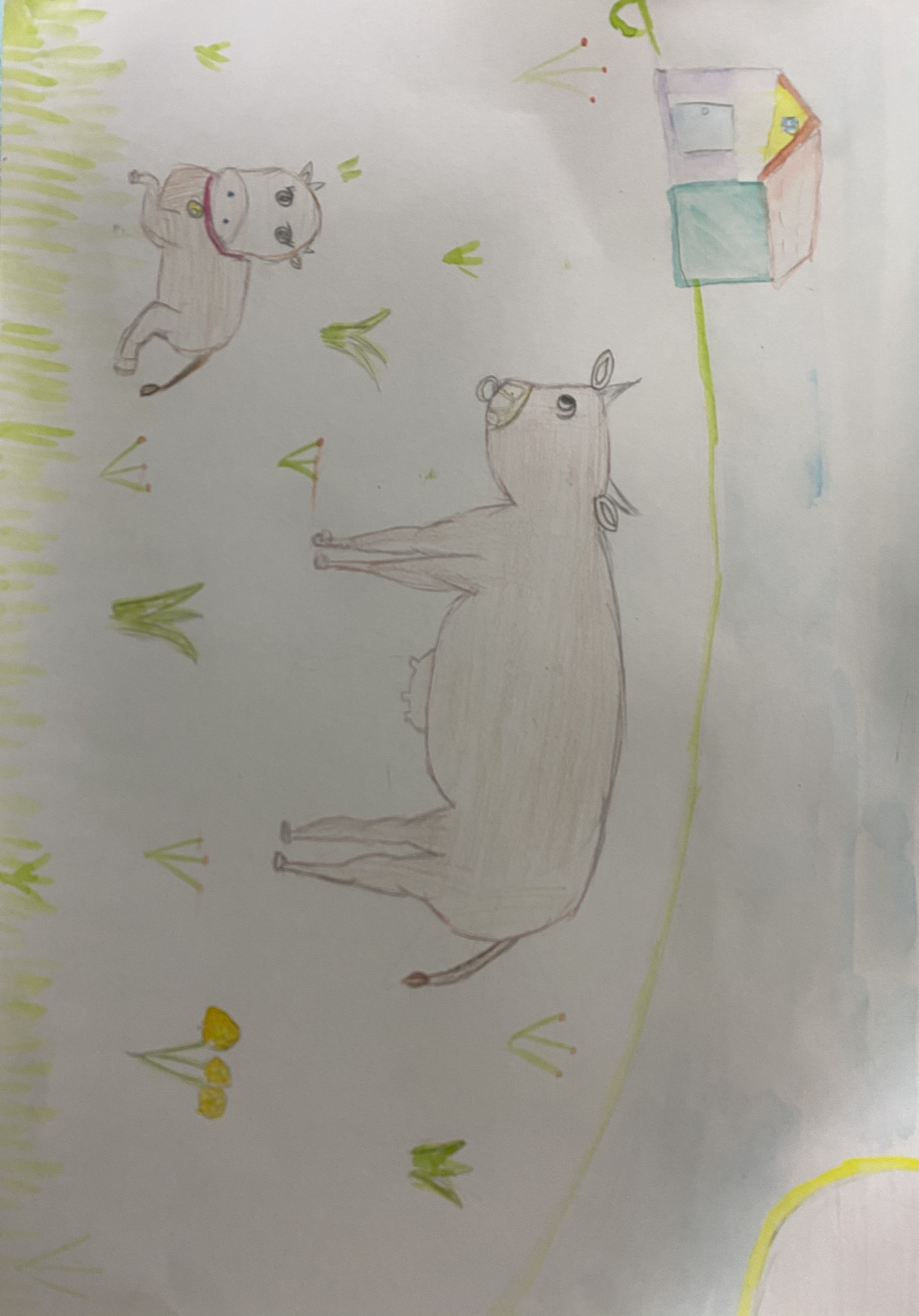 이도아 들판의 소