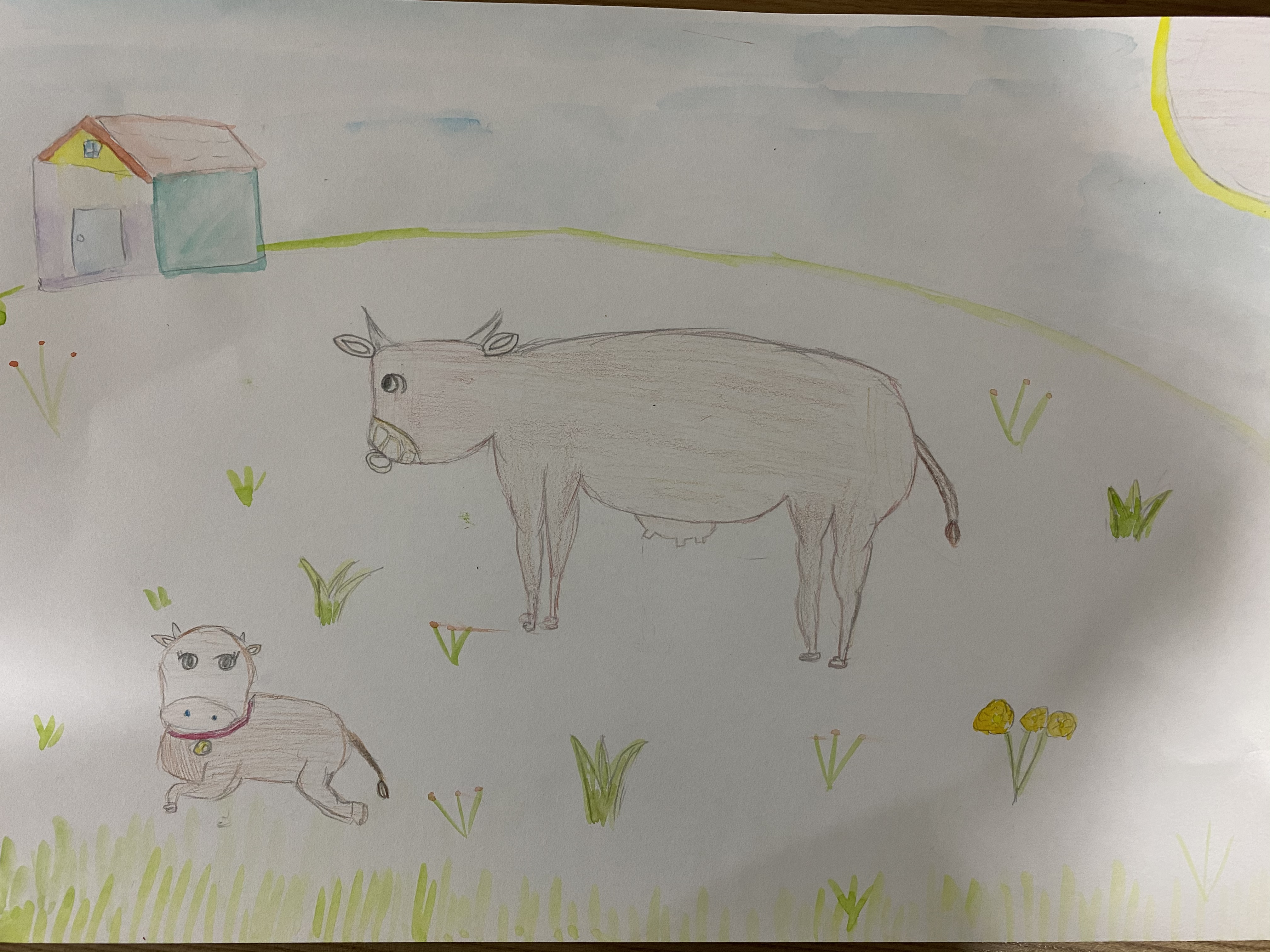 이도아 들판 위의 소