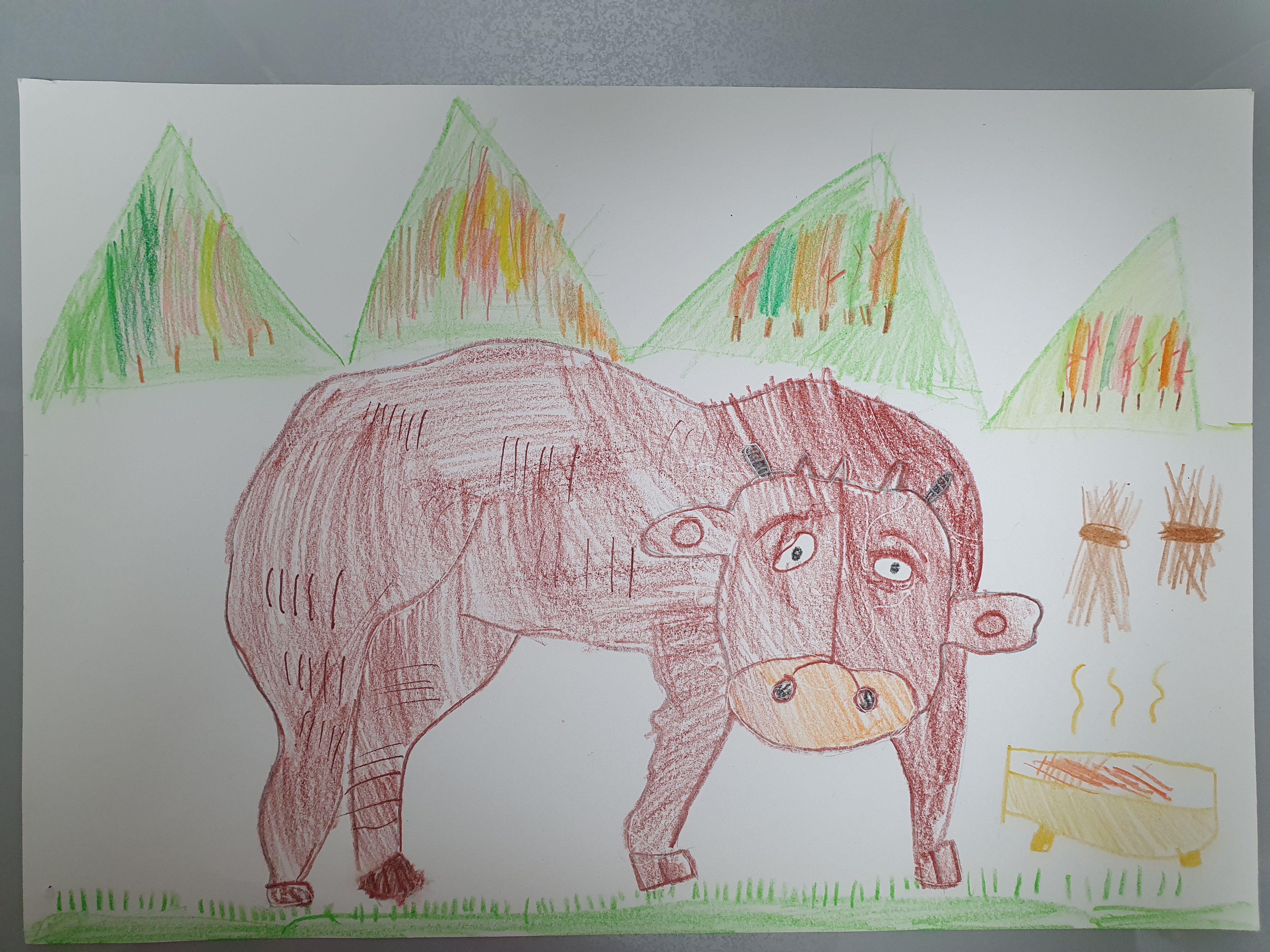 단풍 구경을 하고 싶어 풀밭에 나온 한우가 단풍으로 바뀐 산 앞에서 여물을 먹고 있는 모습이에요. 여물에서는 한우가 좋아하는 맛있는 냄새가 나고 있어요.