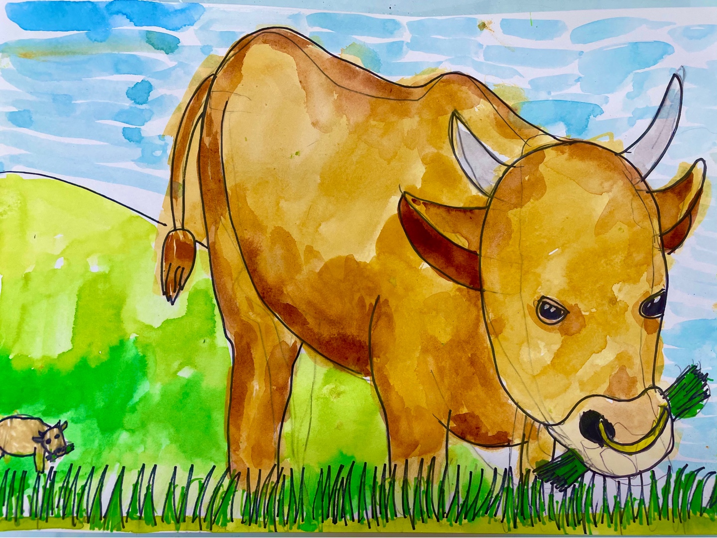 류수아-깨끗한 자연속의 한우들