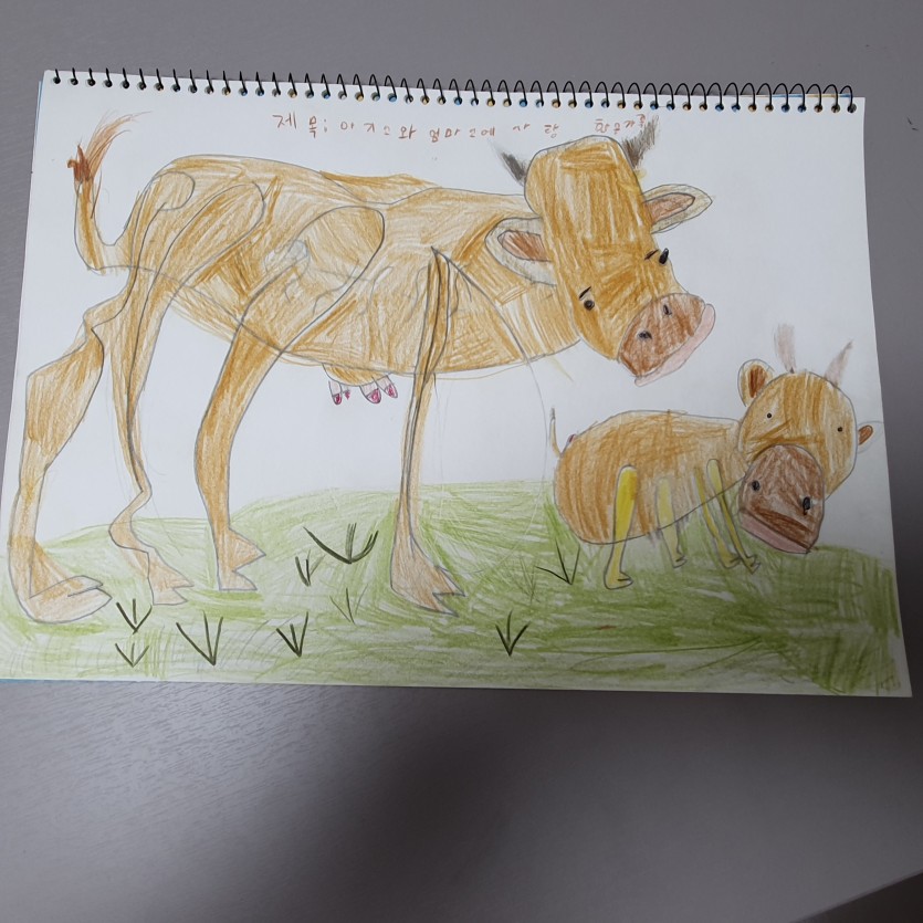 엄마소의 아기송아지의 사랑이야기