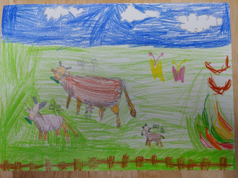 한우가족의 하루