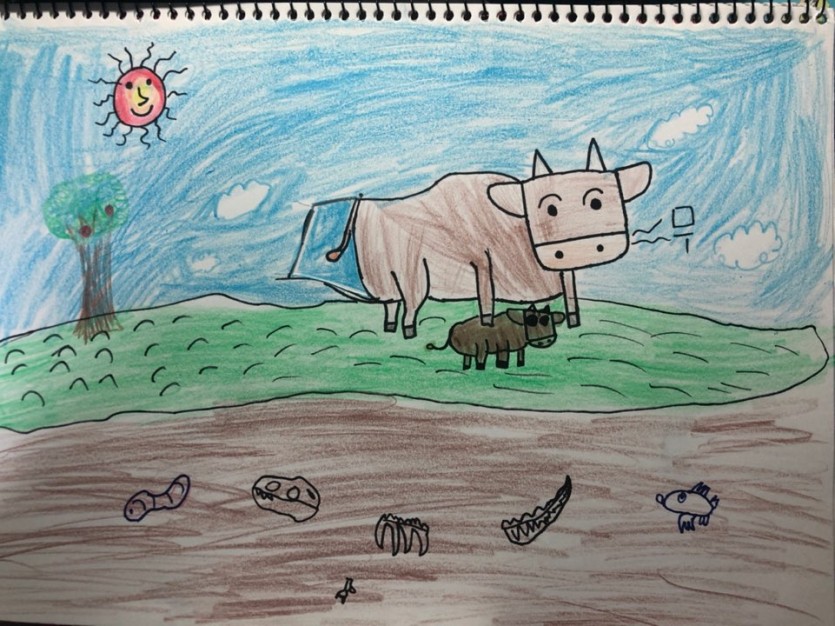 경기도 웰빙 한우