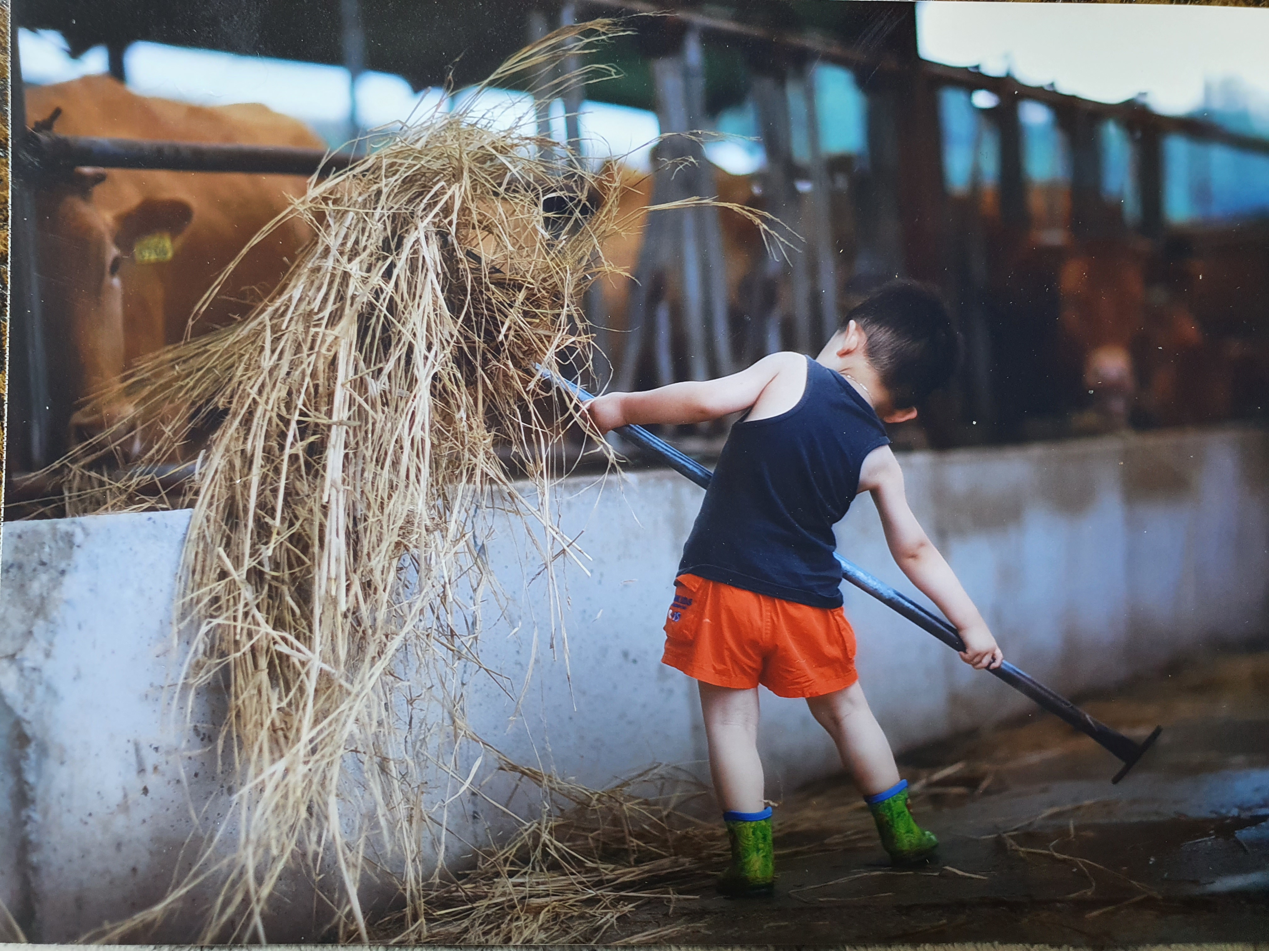 음메가 많이 먹어