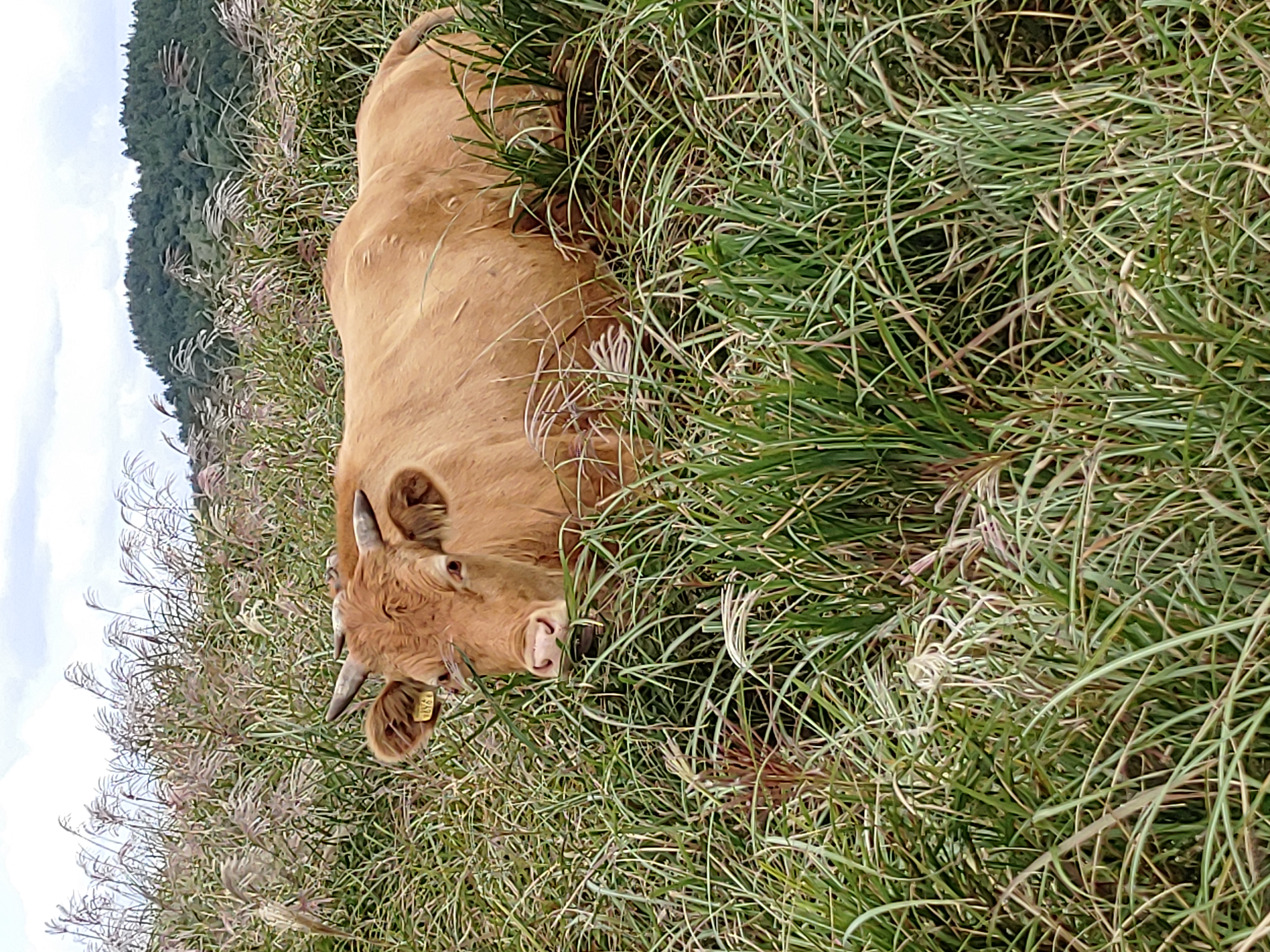 이 사진 보이나요?ㅜㅜ