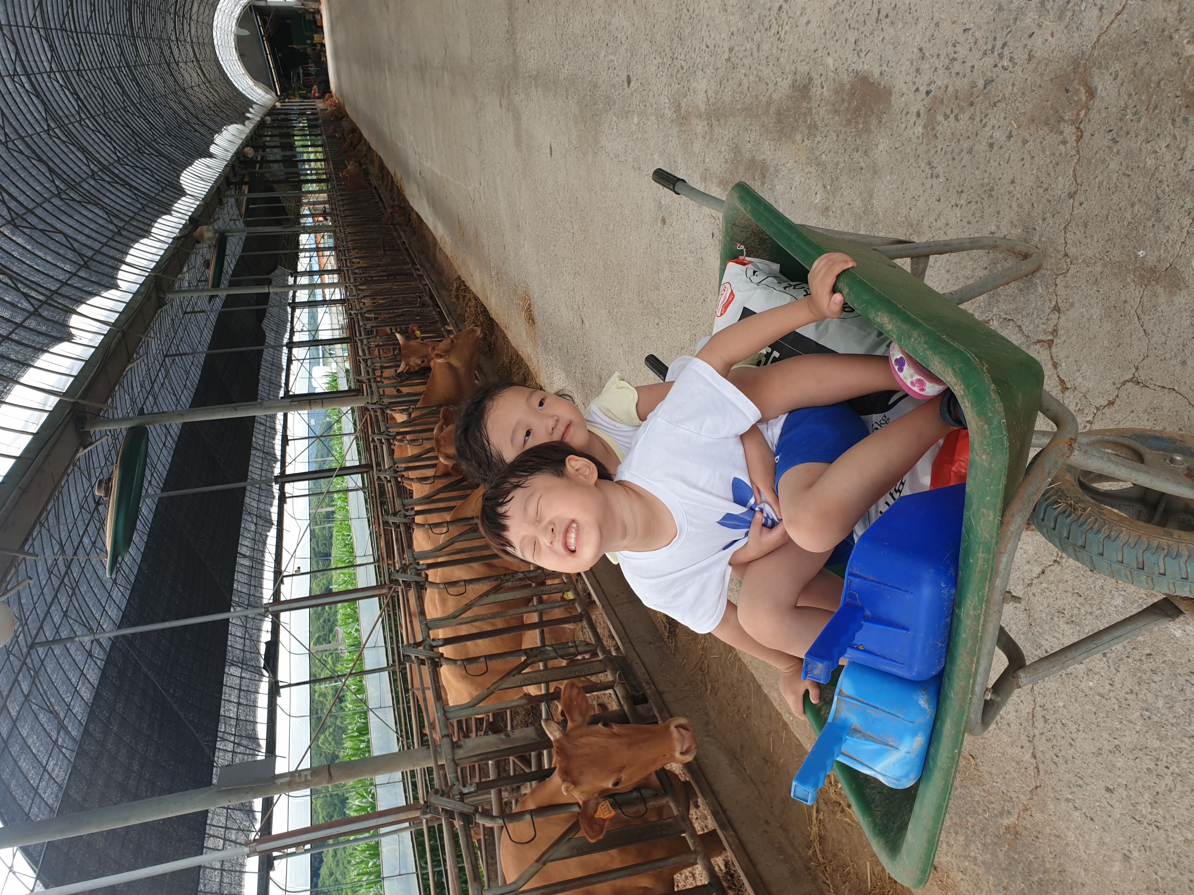 우리 아이들의 밝은 미래 "한우의 꿈" 