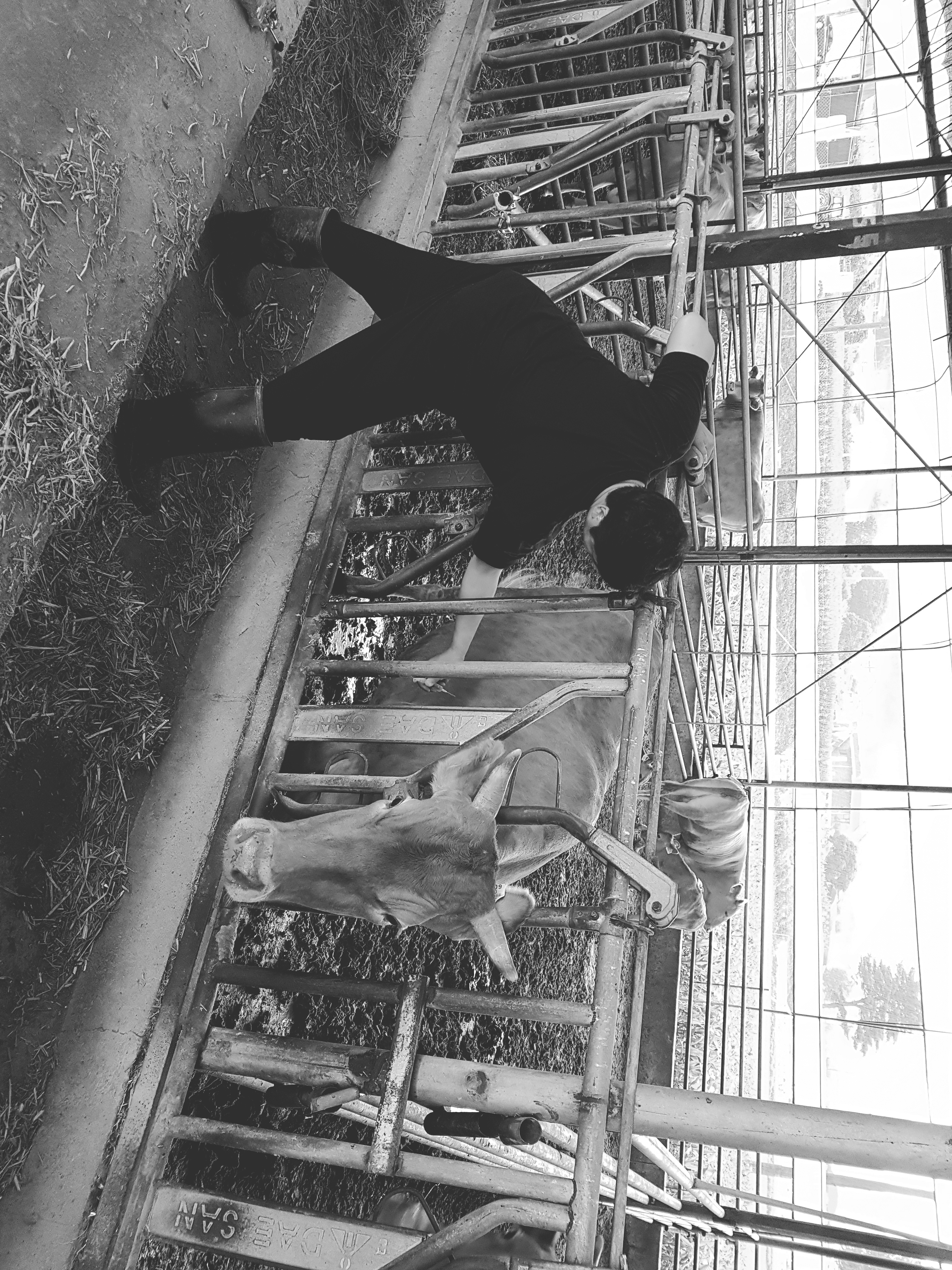 인생의 꽃 "한우"