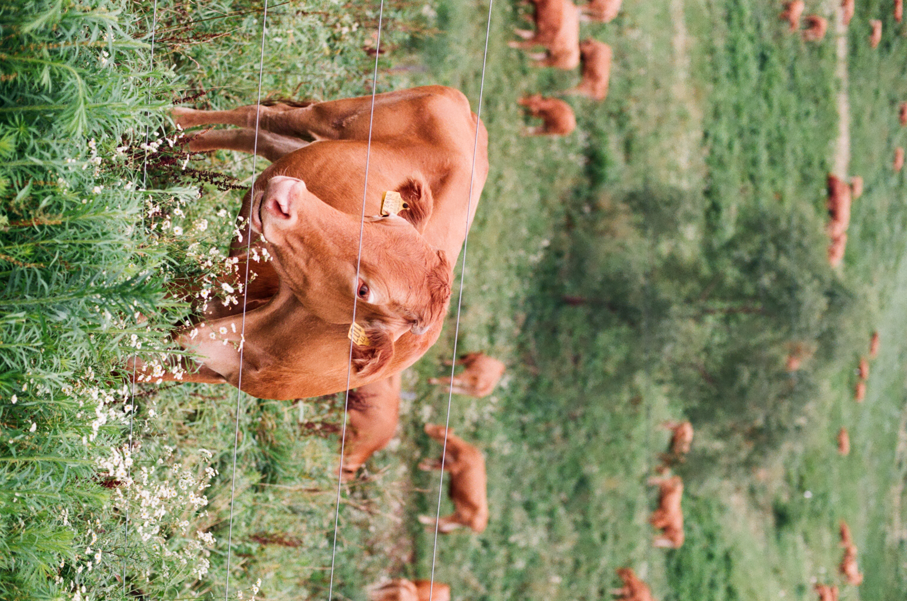 필름사진입니다 