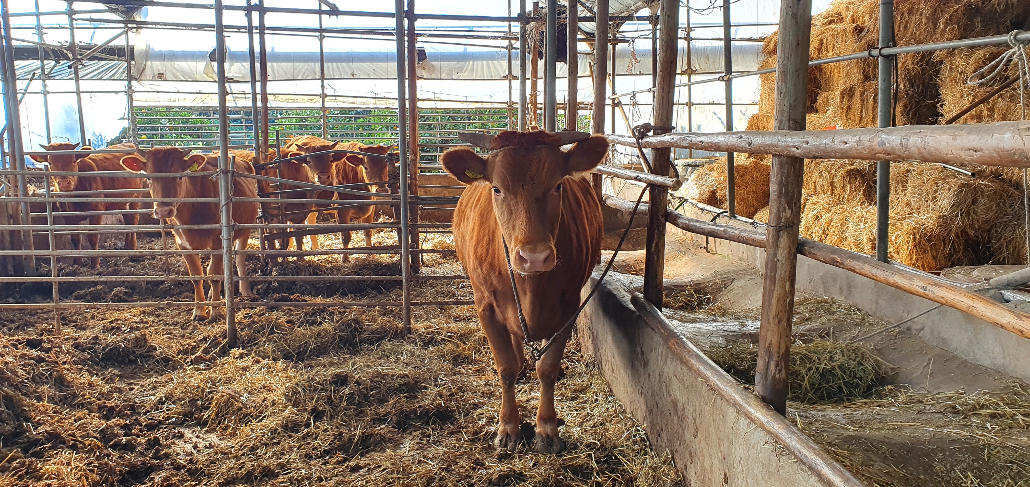 밥 주소~~ 라고 할 듯!!