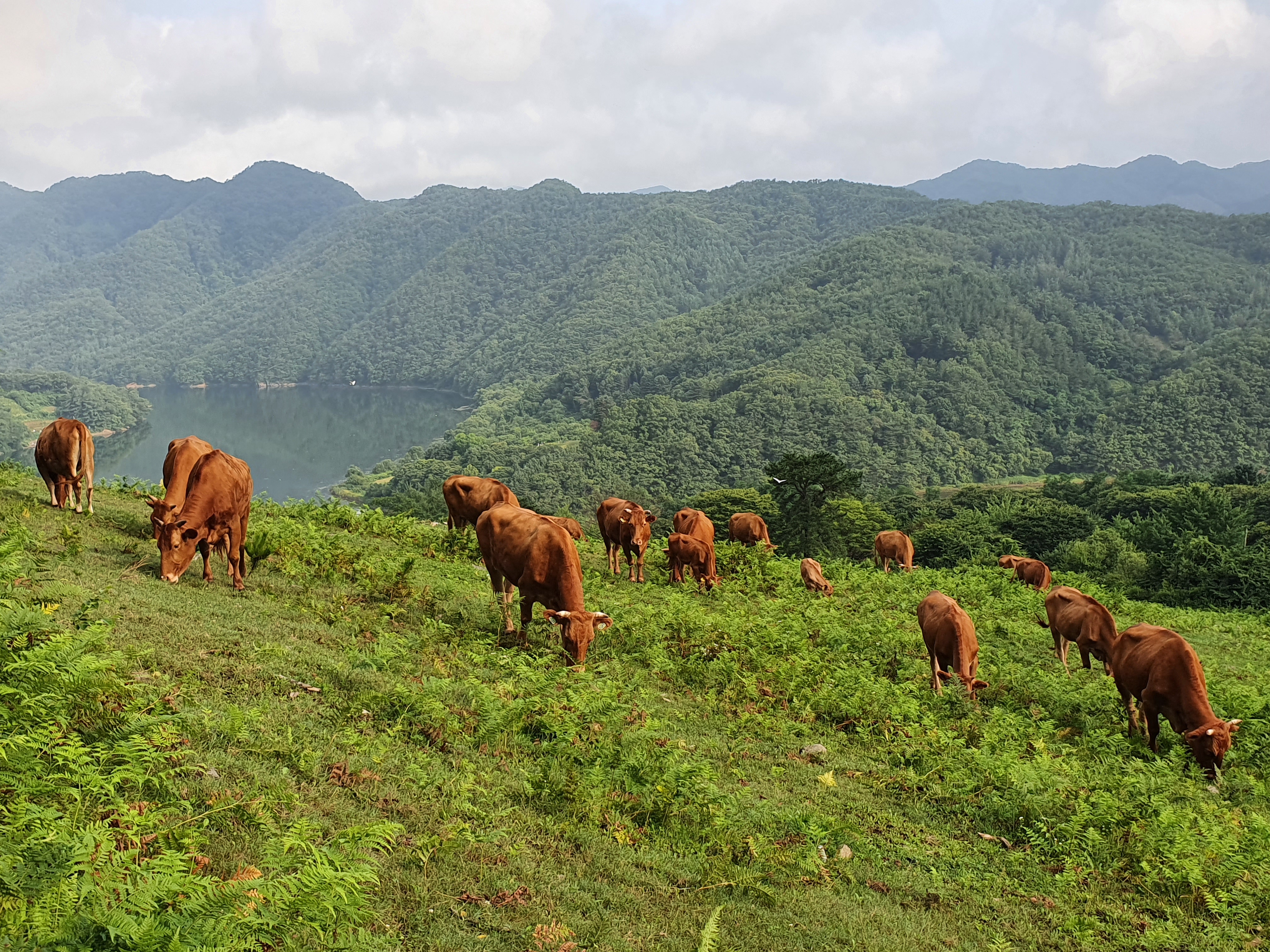 "우리들이 부럽지요?" 그렇게 말하는 표정을 읽었다.