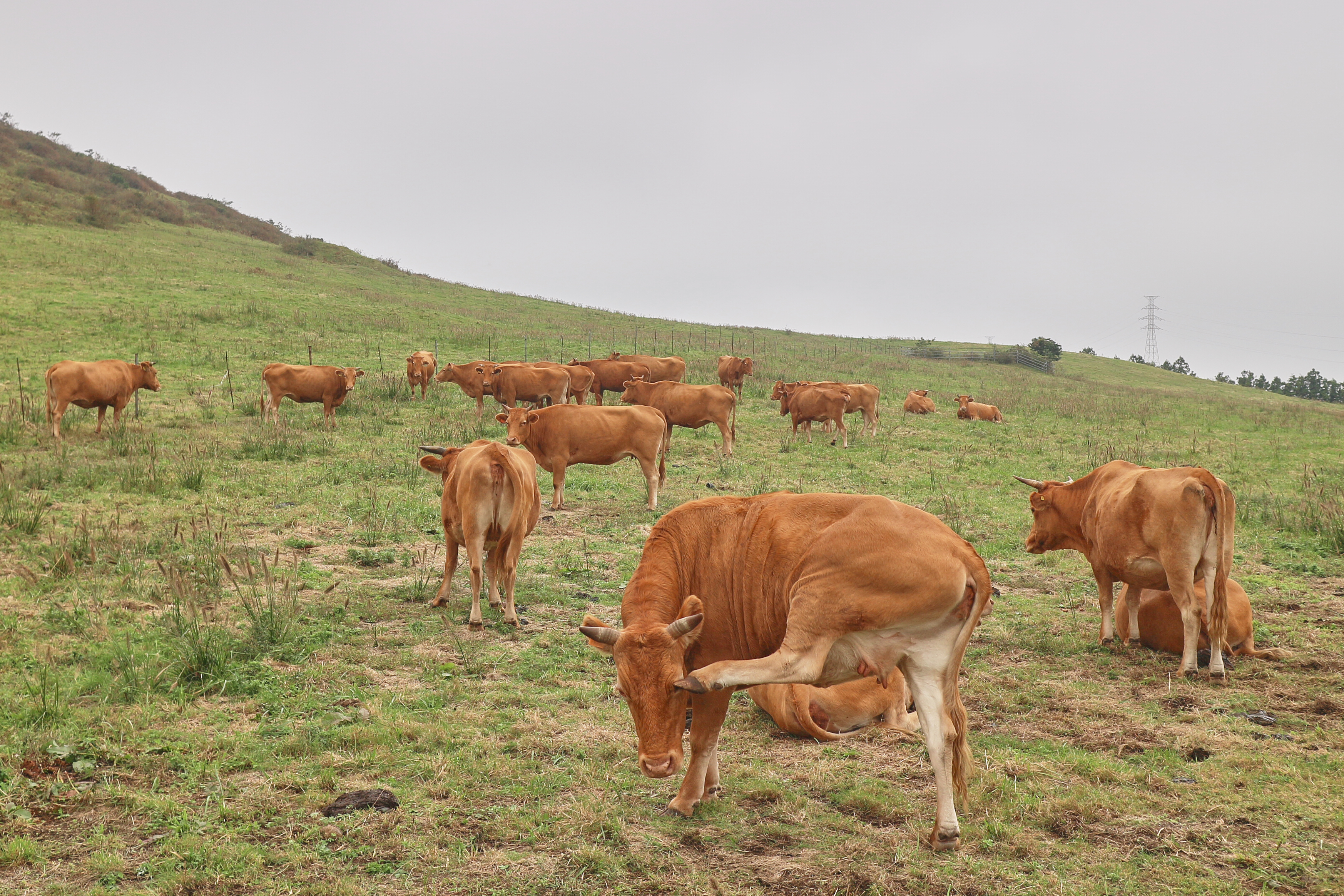 그렇게 쳐다보니 쑥스럽잖 소 