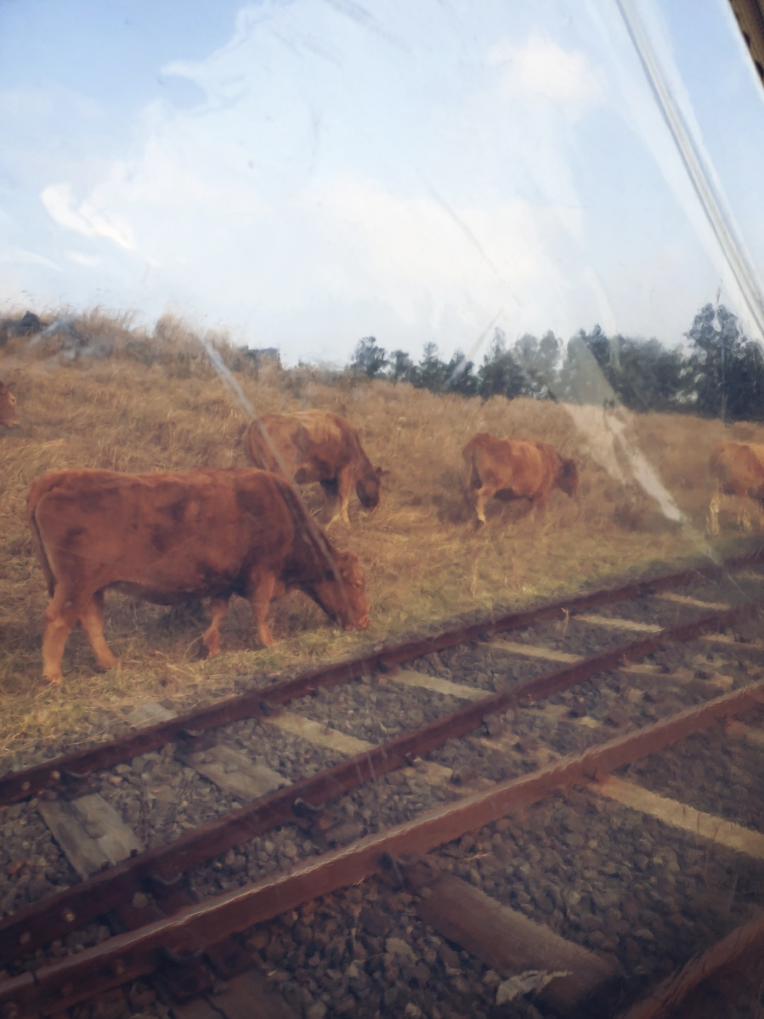 철길따라 걷는 한우소