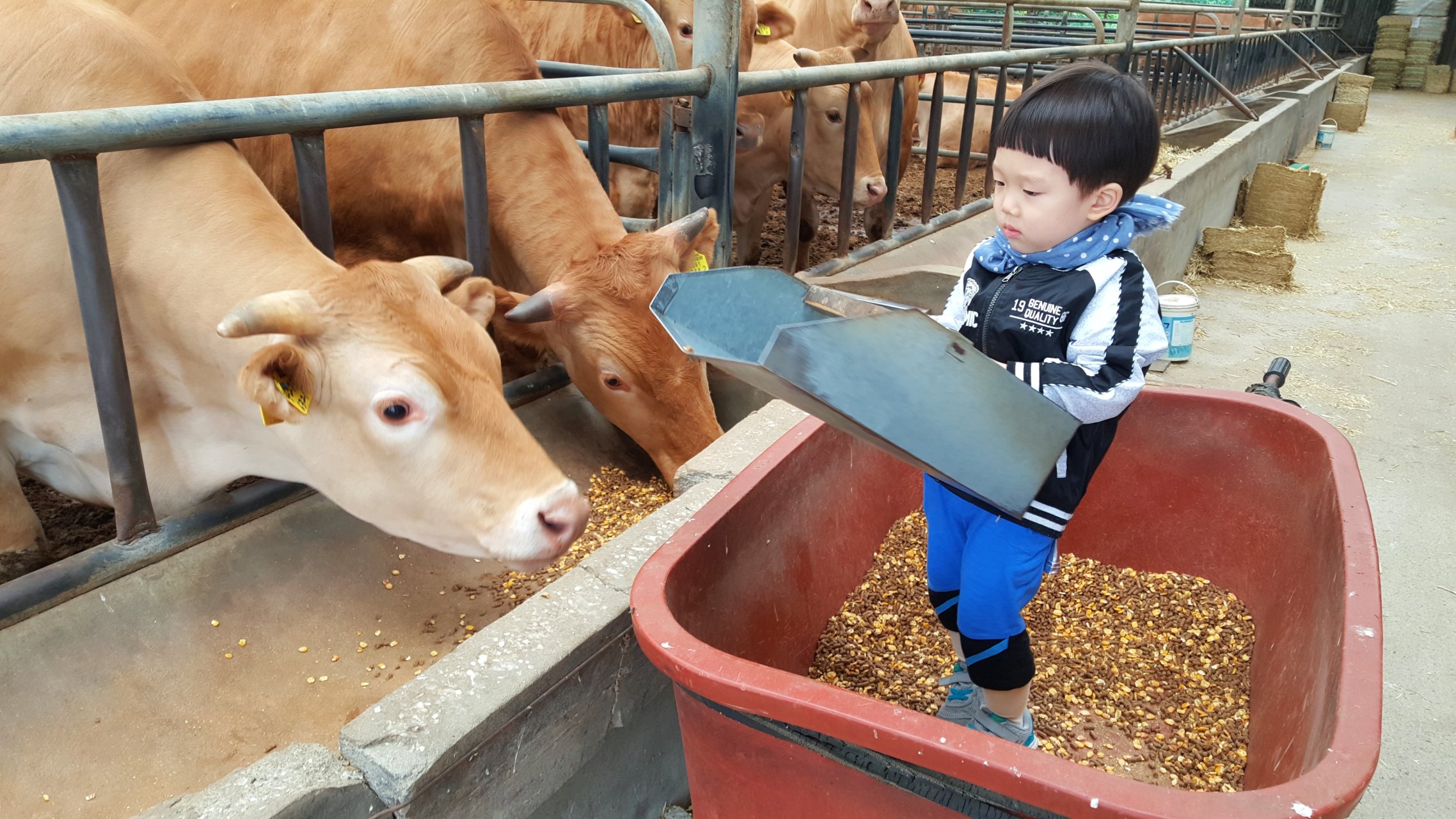 우리한우 내가 지킨다