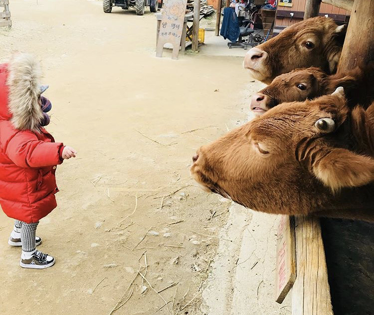 아이와 한우가족의 만남!