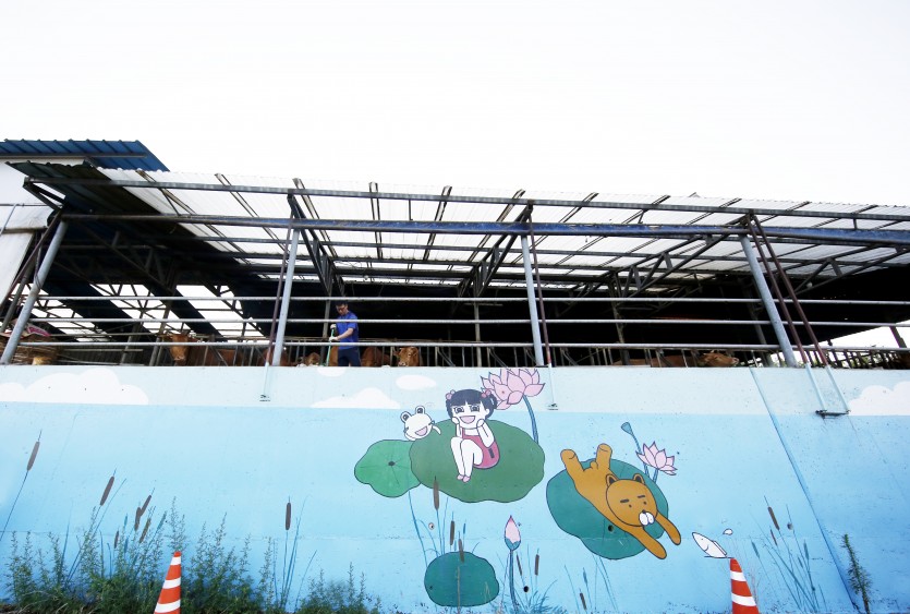 마치 한 아이가 꿈을 담아 그린 벽화의 위로 소들의 모습이 보인다. 평화롭고 행복한 벽화의 모습처럼 소들을 키우기 위해 분주하게 움직이는 주인 아저씨의 분주한 손길을 보며 여기서 자라난 소들은 하나같이 명품 한우가 될 것만 같아 보인다.