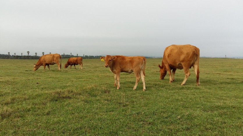 니가 왜 거기서 나와