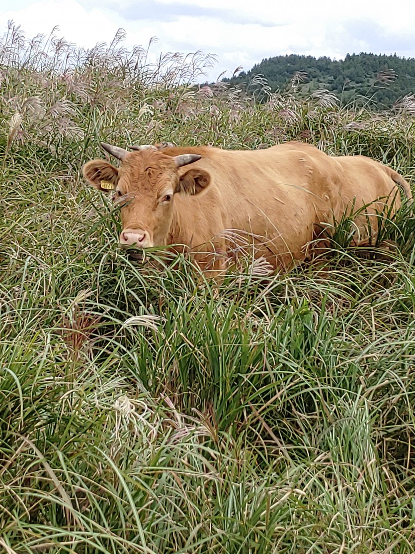 이 사진 보이나요?ㅜㅜ