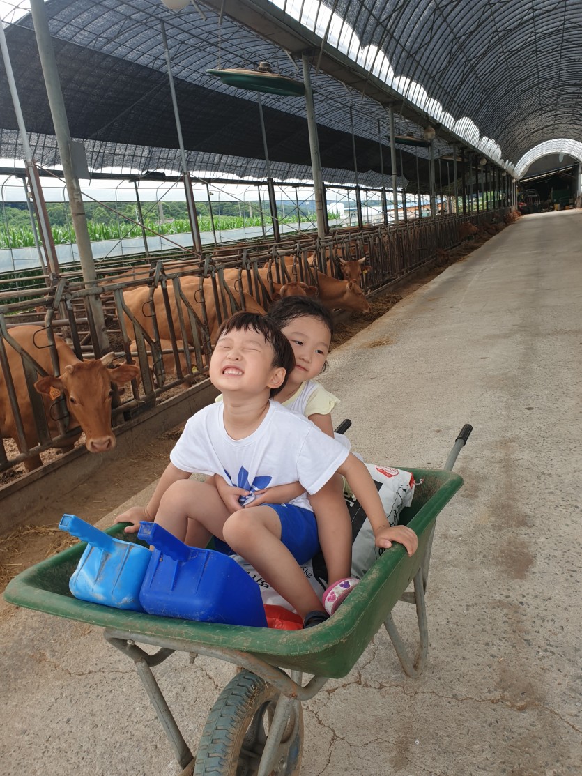 우리 아이들의 밝은 미래 &#034;한우의 꿈&#034; 