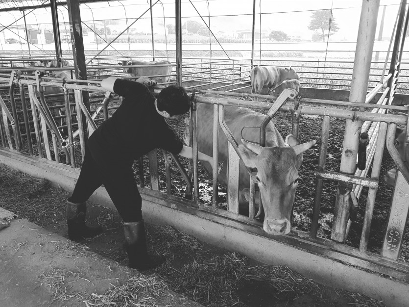 인생의 꽃 &#034;한우&#034;