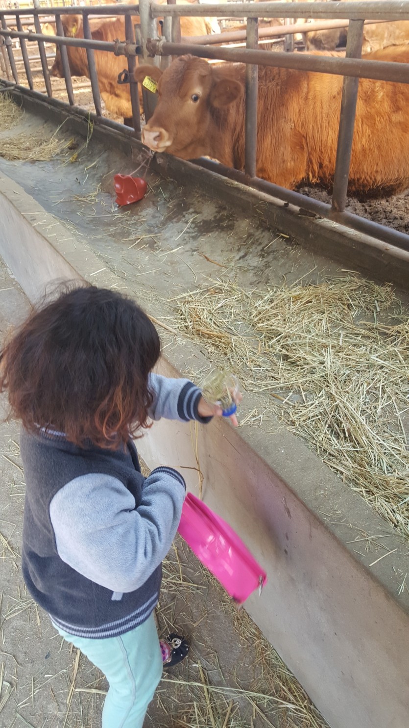 음메야 맘마줄께.지프라기 주는중