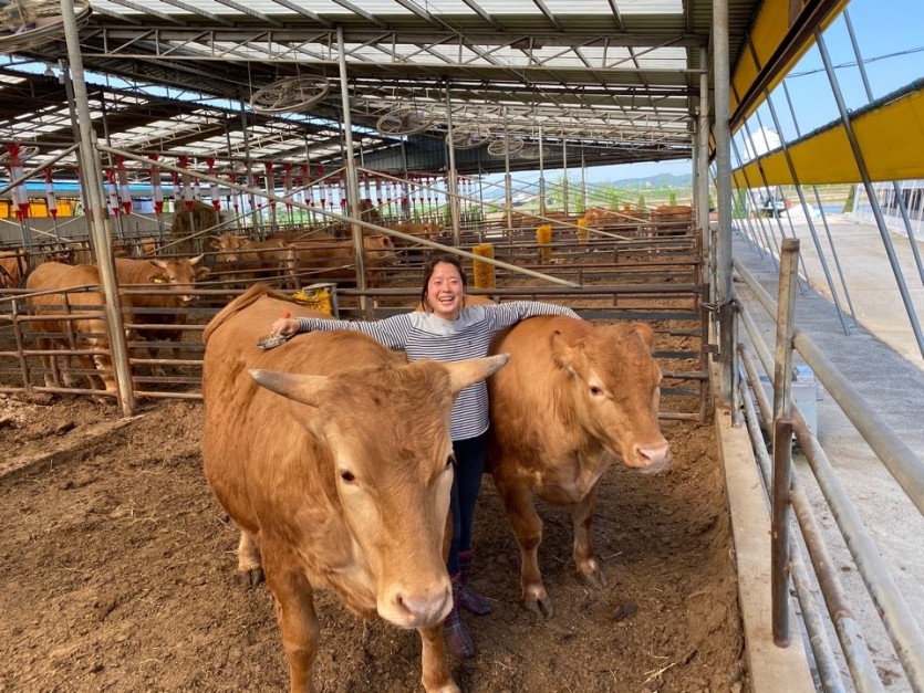 무항생제 행복가축 수만농장