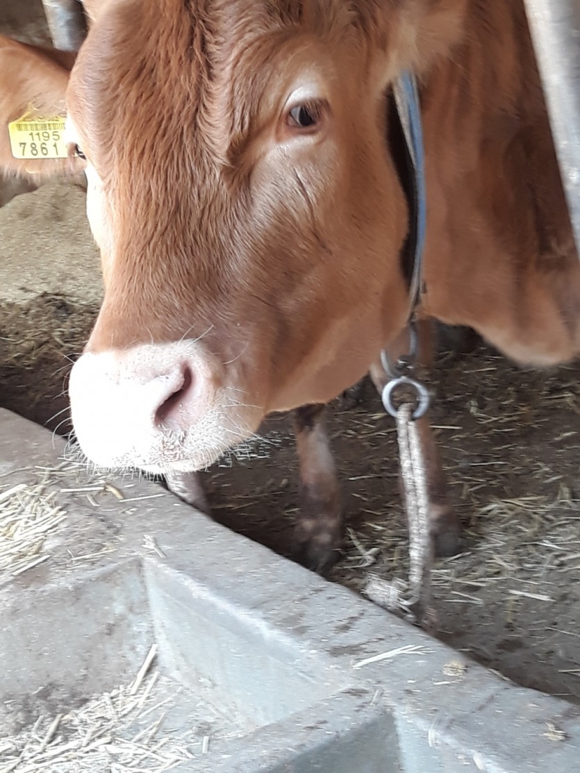 제가 찍은 사진중에 가장 인상이 깊던 작품입니다.