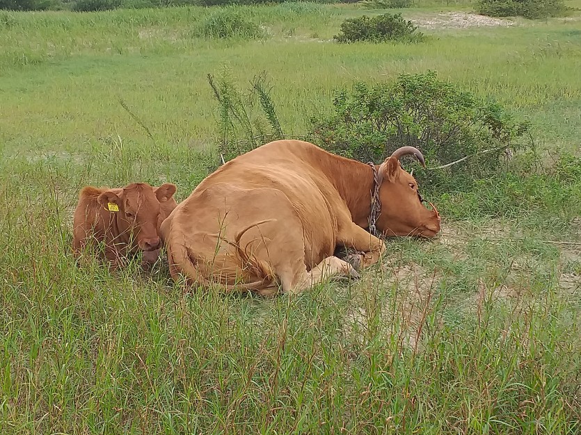 한우사진공모전