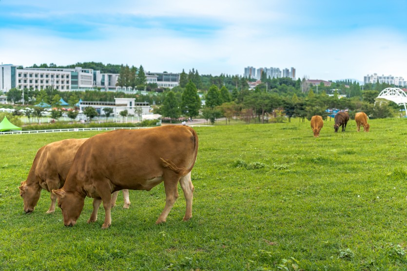 안성 팜랜드에서 촬영